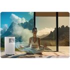 Berdsen, klimatyzator przenośny, 9000 BTU, BD-582