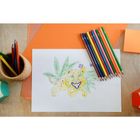 Bic, Kids, Smooth, kredki drewniane, 24 szt.