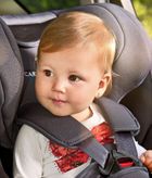 Caretero, Champion Isofix, fotelik samochodowy, 0-18 kg, graphite