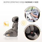 Caretero, Falcon, I-Size, fotelik samochodowy, navy, 76-150 cm