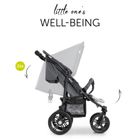 Hauck, Roadster Duo SLX, wózek bliźniaczy, grey/silver