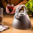 Klausberg, czajnik stalowy z gwizdkiem, 2,5l, kb-7953