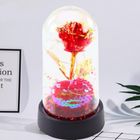 Lean Toys, wieczna róża w kopule, z oświetleniem LED