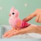 Little Live Pets, Mój Prawdziwy Ptaszek, Rosie, ćwierkający ptaszek w klatce, zabawka interaktywna, różowy