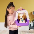 Little Live Pets, Mój Prawdziwy Szczeniaczek, piesek z transporterem, maskotka interaktywna