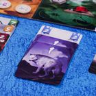 Muduko, Samotne Wilki, Pojedynek, gra karciana