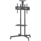Techly, mobilny stojak do TV, 37-70 cali, 50 kg, dwie półki
