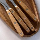 Homla, Easy Grill, zestaw widelców, do steków, 4 szt.