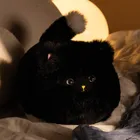 Huggy Luv, Maskotka interaktywna kot, czarny