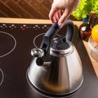 Klausberg, czajnik stalowy z gwizdkiem, 2,5l, kb-7951