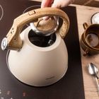 Klausberg, czajnik stalowy z gwizdkiem, 2,5l, kb-7954