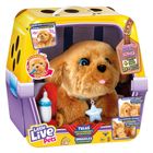 Little Live Pets, Piesek Tuluś, maskotka interaktywna