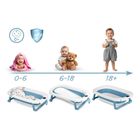 Ricokids, RK-287, wanienka składana ze stelażem, termometrem i wkładką, biało-niebieska