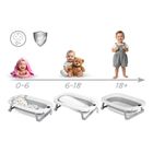 Ricokids, RK-287, wanienka składana ze stelażem, termometrem i wkładką, biało-szara