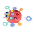 Bam Bam, zabawka sensoryczna, biedronka