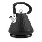Berdsen, czajnik elektryczny, czarny, 1.7l, BD-700