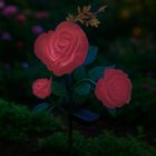 Gardlov, lampa solarna, róża