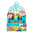 Little Live Pets, Mój Prawdziwy Ptaszek, Indie, ćwierkający ptaszek w klatce, zabawka interaktywna, niebieski