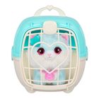 Scruff a Luvs, zwierzaczek kudłaczek, maskotka do kąpania, niebieski, 1 szt.