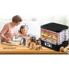 Berdsen, suszarka do żywności, czarna