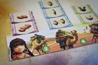 Lucrum Games, Camel Up: Po zawodach, gra towarzystka