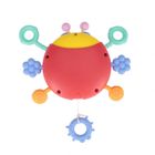 Bam Bam, zabawka sensoryczna, biedronka