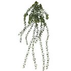 4living, eukaliptus, sztuczna roślina wisząca