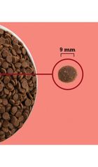 Acana, wysoko proteinowa karma sucha dla kotów, 4,5kg