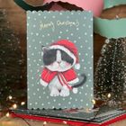 Alex Clark, karnet święta, świąteczny kotek