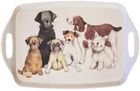 Alex Clark, taca kuchenna, duża, 6 psów