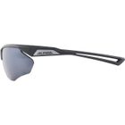 Alpina, Nylos Hr, okulary, szary mat