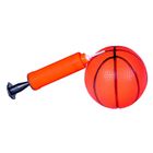 Anek dla Dzieci, Koszykówka, mini zestaw