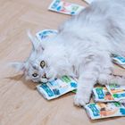 Animal Island, biała ryba w rosole, karma mokra dla kota, 85g, 40 szt.