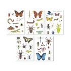 Apli Kids, naklejki wielokrotnego użytku, owady