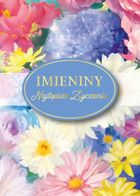 Armin Style, karnet, imieniny