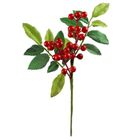 Arpex, zimowa gałązka z jagodami