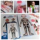 Askato, Genialny dzieciak, Moje ciało, puzzle magnetyczne, 108 elementów