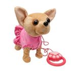 Askato, piesek chodzący, zabawka interaktywna, chihuahua