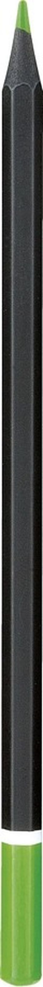 Astra, kredki ołówkowe heksagonalne z czarnego drewna z temperówką, 12 kolorów