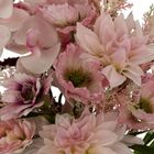 Atmosphera, bukiet sztucznych kwiatów, Wild romance, różowy, 60 cm