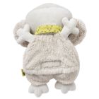 BabyFehn, Koala, Australia, termofor z pestek winogron, beżowy