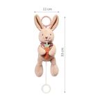 BabyOno, Rabbit Karo, pozytywka