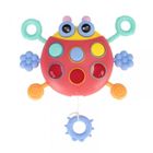 Bam Bam, zabawka sensoryczna, biedronka