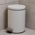 Bathroom Solutions, Noni, kosz na śmieci, metalowy z pokrywą, 3l