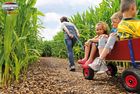 Berg, wózek plażowy dla dzieci, rozmiar XL