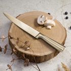 Berlinger Haus, Leonardo, stalowy nóż do filetowania, 22 cm, BH-2931