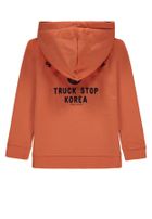 Bluza chłopięca z kapturem, pomarańczowa, Tom Tailor