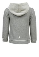 Bluza chłopięca z kapturem, szara, Lief
