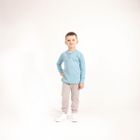 Bluzka chłopięca z długim rękawem, niebieska, Nicol