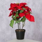 Boltze Home, sztuczna gwiazda betlejemska w doniczce, wys. 40 cm